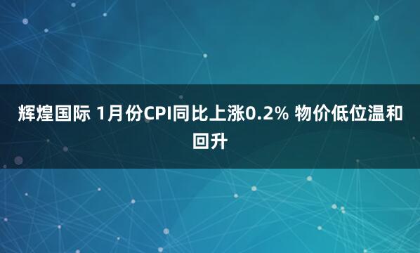 辉煌国际 1月份CPI同比上涨0.2% 物价低位温和回升