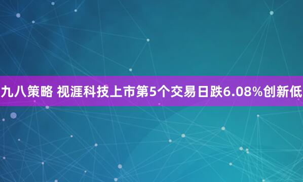 九八策略 视涯科技上市第5个交易日跌6.08%创新低