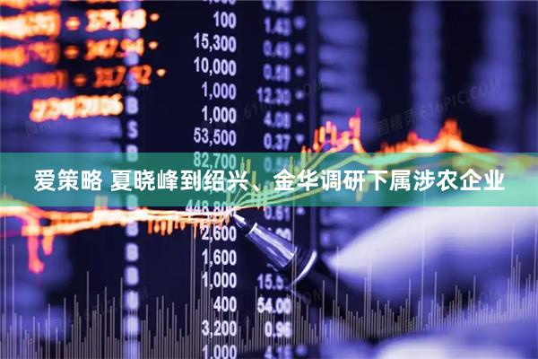 爱策略 夏晓峰到绍兴、金华调研下属涉农企业