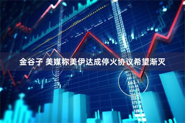 金谷子 美媒称美伊达成停火协议希望渐灭