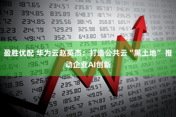 盈胜优配 华为云赵英杰：打造公共云“黑土地” 推动企业AI创新