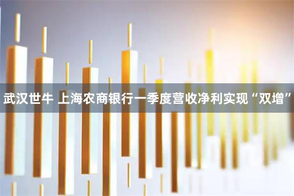 武汉世牛 上海农商银行一季度营收净利实现“双增”