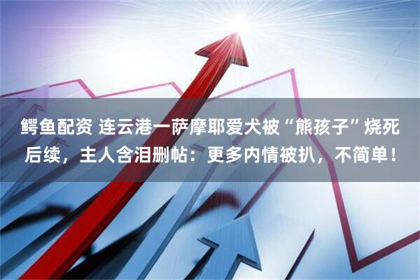 鳄鱼配资 连云港一萨摩耶爱犬被“熊孩子”烧死后续，主人含泪删帖：更多内情被扒，不简单！