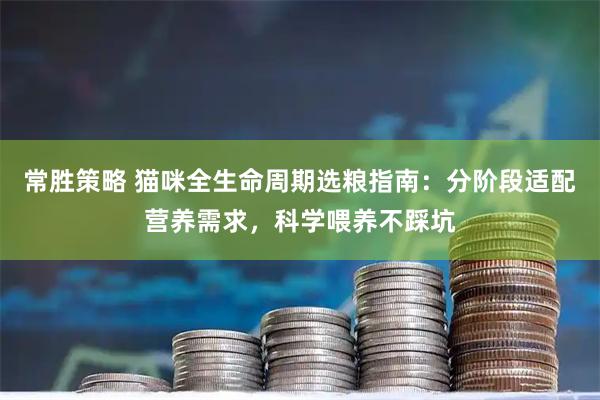 常胜策略 猫咪全生命周期选粮指南：分阶段适配营养需求，科学喂养不踩坑