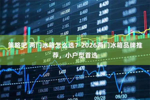策略吧 两门冰箱怎么选？2026两门冰箱品牌推荐，小户型首选