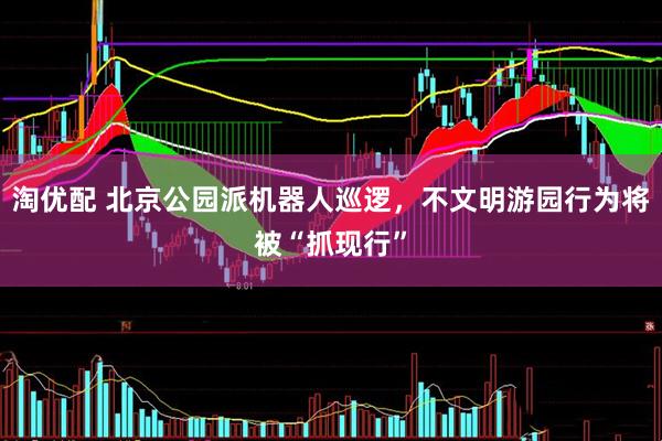 淘优配 北京公园派机器人巡逻，不文明游园行为将被“抓现行”