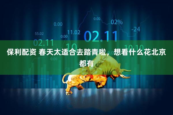 保利配资 春天太适合去踏青啦，想看什么花北京都有