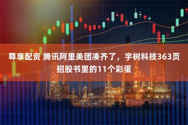 尊享配资 腾讯阿里美团凑齐了，宇树科技363页招股书里的11个彩蛋