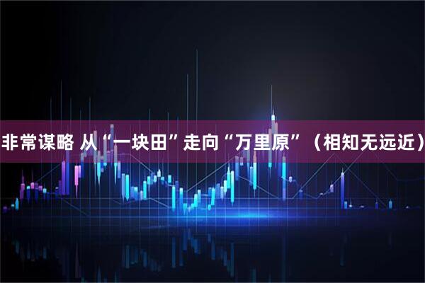 非常谋略 从“一块田”走向“万里原”（相知无远近）