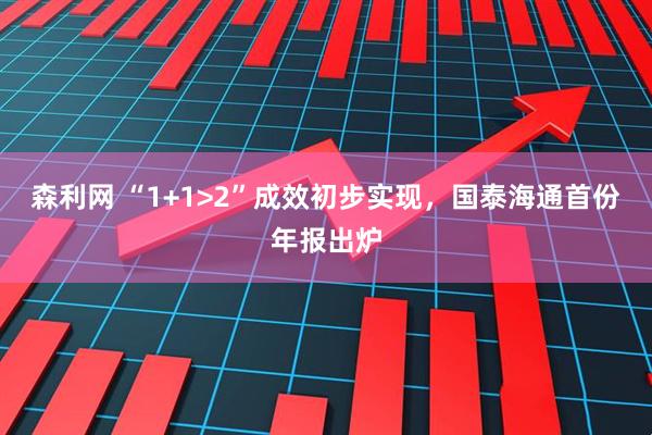 森利网 “1+1>2”成效初步实现，国泰海通首份年报出炉