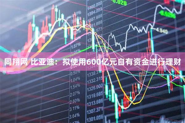 同翔网 比亚迪:拟使用600亿元自有资金进行理财