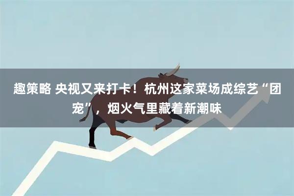 趣策略 央视又来打卡！杭州这家菜场成综艺“团宠”，烟火气里藏着新潮味