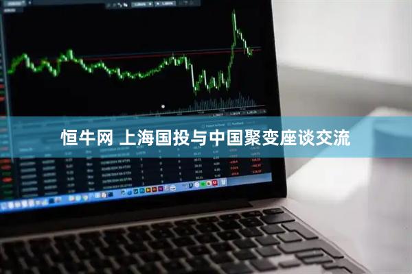 恒牛网 上海国投与中国聚变座谈交流