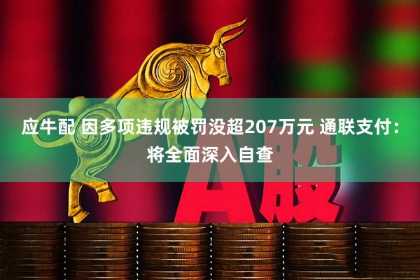 应牛配 因多项违规被罚没超207万元 通联支付:将全面深入自查