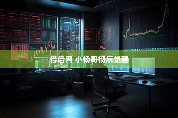 倍倍网 小杨哥彻底觉醒