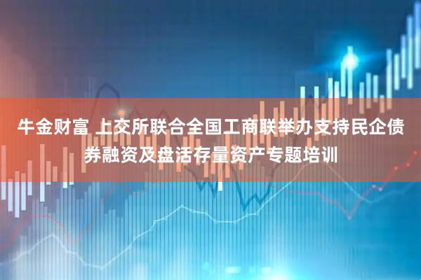 牛金财富 上交所联合全国工商联举办支持民企债券融资及盘活存量资产专题培训