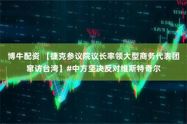 博牛配资 【捷克参议院议长率领大型商务代表团窜访台湾】#中方坚决反对维斯特奇尔