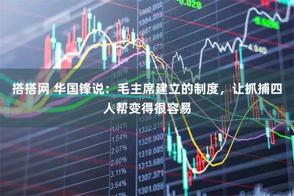 搭搭网 华国锋说：毛主席建立的制度，让抓捕四人帮变得很容易