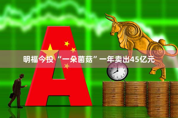 明福今投 “一朵菌菇”一年卖出45亿元
