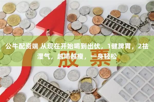 公牛配资端 从现在开始喝到出伏，1健脾胃，2祛湿气，越喝越瘦，一身轻松